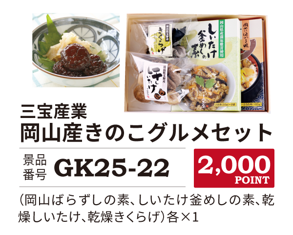 カタログ景品22