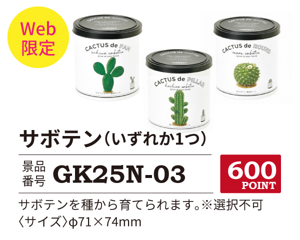 カタログ景品web限定3
